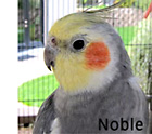 noble