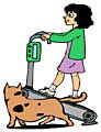 treadmill with cat