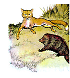 fox and hedgehog