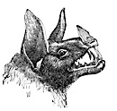 vampire bat profile